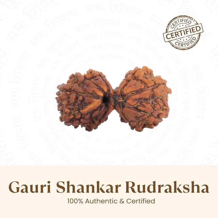 Nepal Origin Gauri Shankar Rudraksha