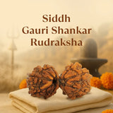 Kashi Siddh Nepal Origin Gauri Shankar Rudraksha