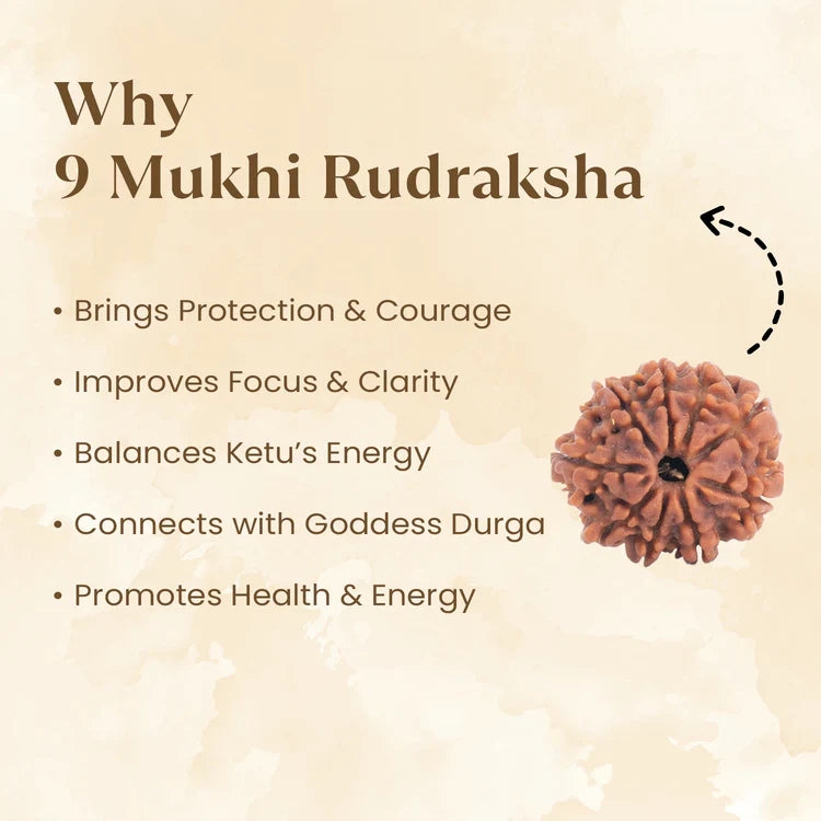 Nepal Origin 9 Mukhi Rudraksha