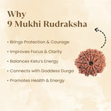 Nepal Origin 9 Mukhi Rudraksha