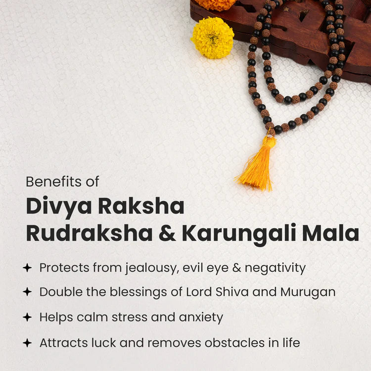 Divya Raksha Rudraksha & Karungali Mala 8mm - 108+1 Beads