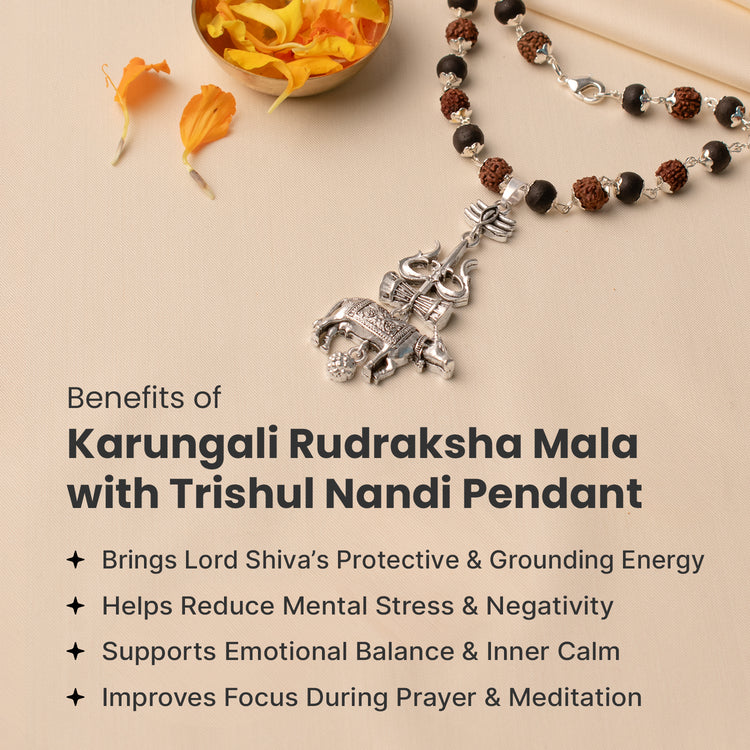 Shiv Raksha Karungali Rudraksha Mala with Trishul Nandi Pendant