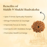 Kashi Siddh Nepal Origin 9 Mukhi Rudraksha