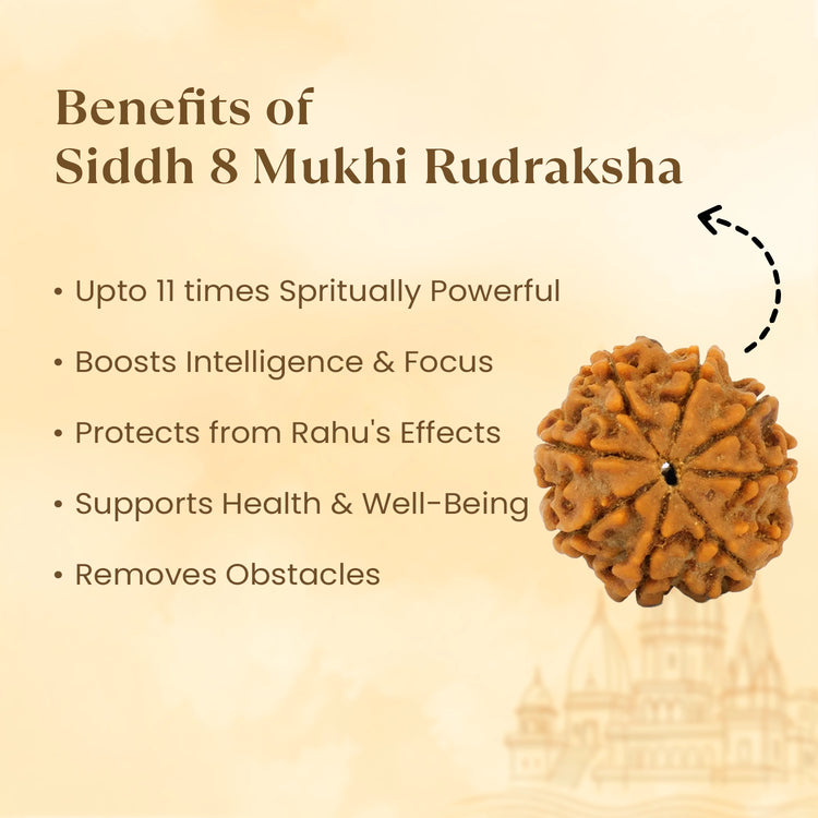Kashi Siddh Nepal Origin 8 Mukhi Rudraksha