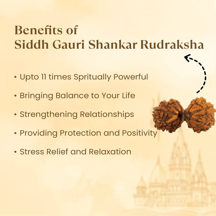 Kashi Siddh Nepal Origin Gauri Shankar Rudraksha