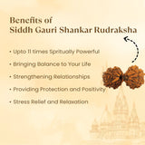 Kashi Siddh Nepal Origin Gauri Shankar Rudraksha