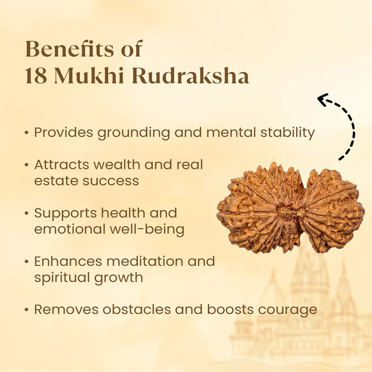 Nepal Origin 18 Mukhi Rudraksha