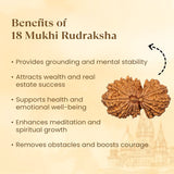 Nepal Origin 18 Mukhi Rudraksha