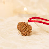 Kashi Siddh Nepal Origin 9 Mukhi Rudraksha