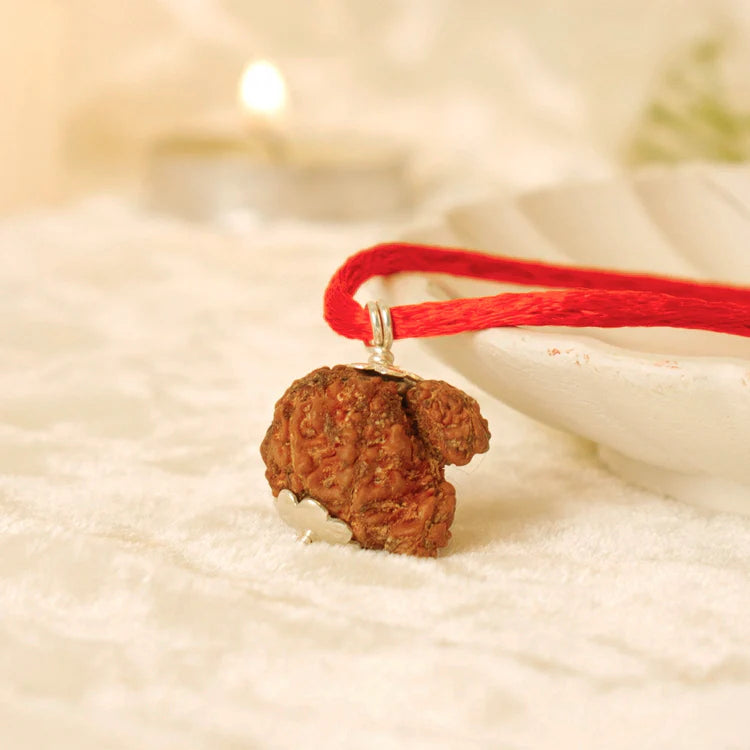 Nepal Origin Garbh Gauri Rudraksha