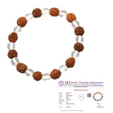Rudraksha & Clear Quartz Crystal Bracelet for Men, Women & Children