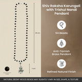 Shiv Raksha Karungali Mala with Trishul Nandi Pendant