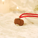 Nepal Origin 12 Mukhi Rudraksha