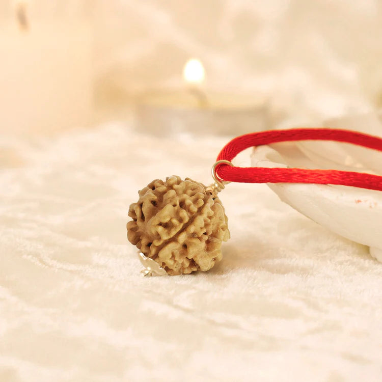 Nepal Origin 1 Mukhi Rudraksha