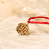 Nepal Origin 1 Mukhi Rudraksha