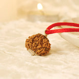 Nepal Origin 8 Mukhi Rudraksha