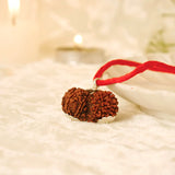 Nepal Origin Gauri Shankar Rudraksha